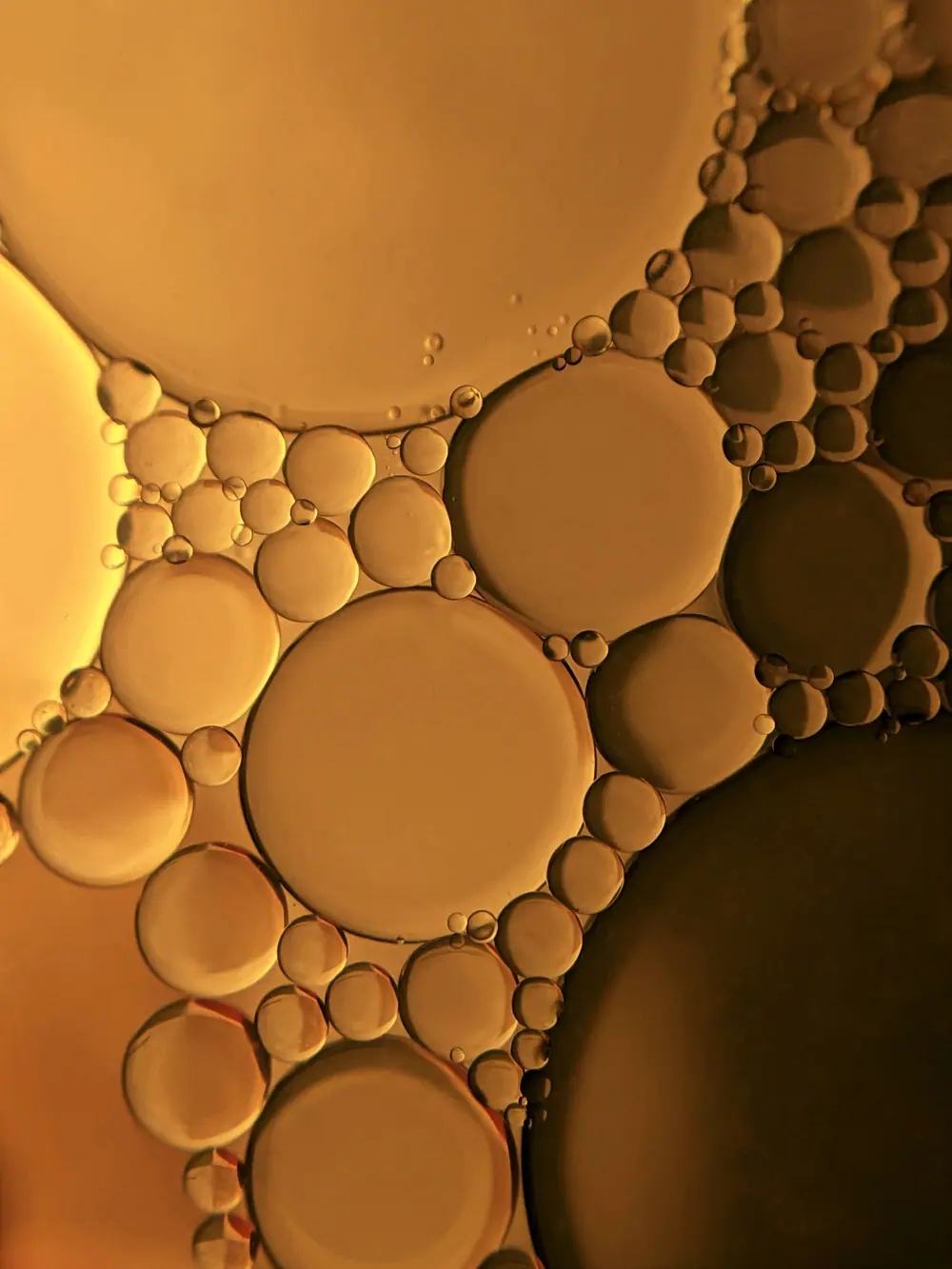 Amber oil droplets of many sizes floating on water, close up